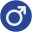 Men's Wellness